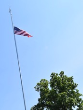 DSC_7884.JPG