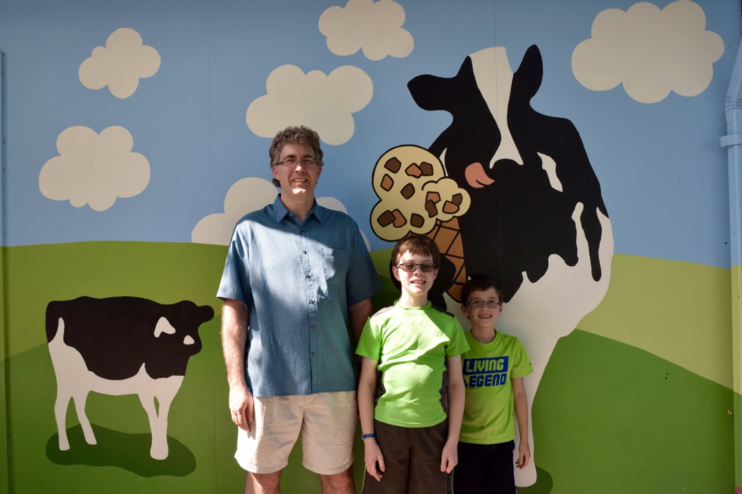 Cows and ice cream