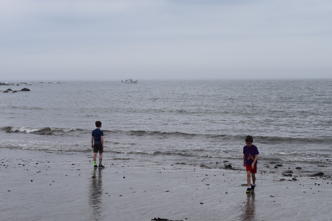 Low tide