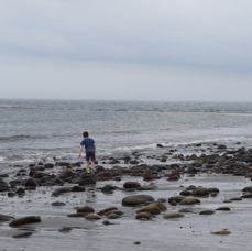 DSC_8320.JPG