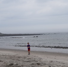 DSC_8324.JPG