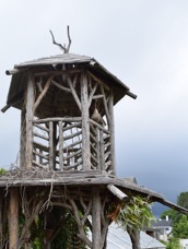 DSC_8377.JPG