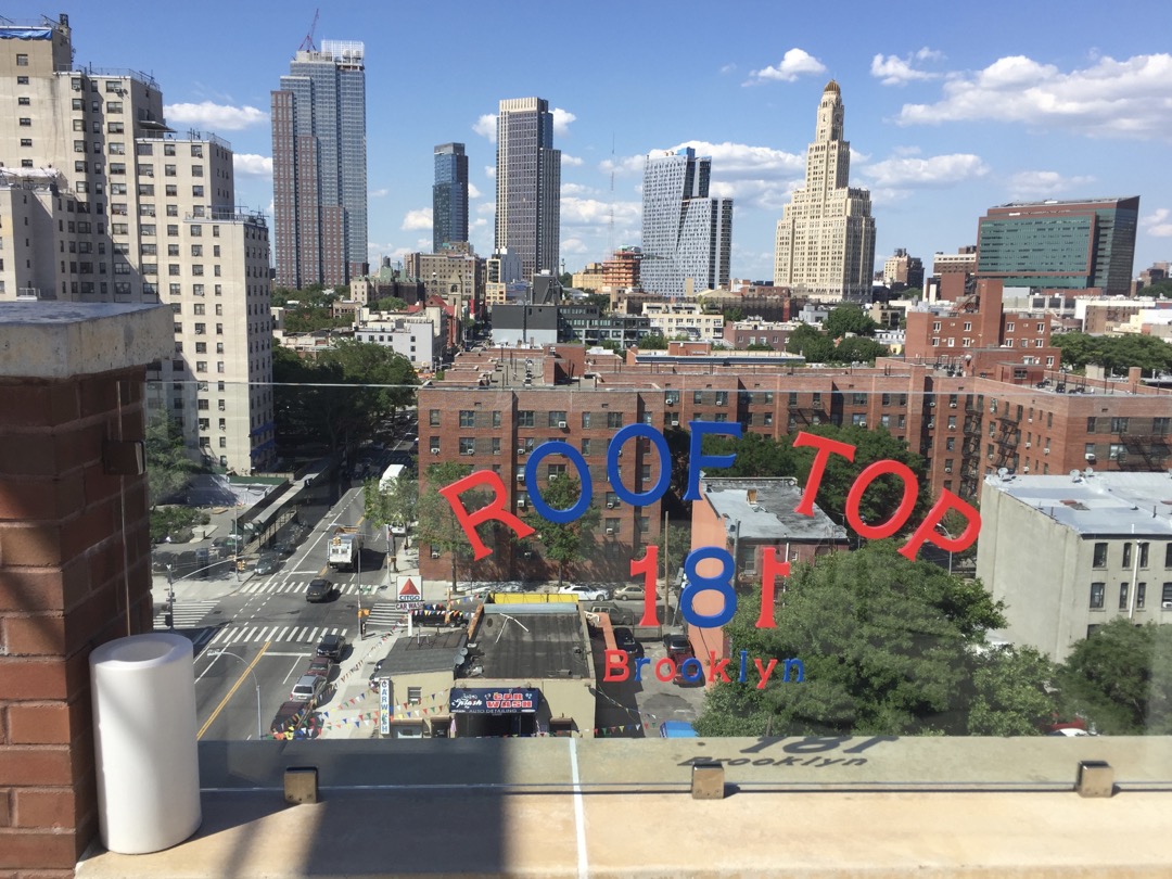 View from our Brooklyn hotel rooftop