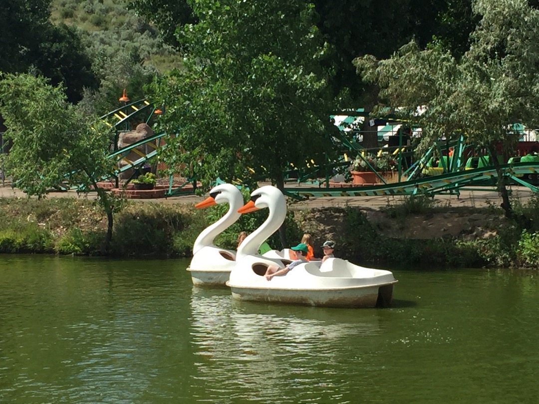 Swan boat