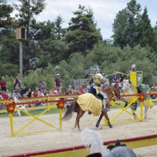 DSC_9476.jpg
