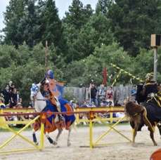 DSC_9505.jpg