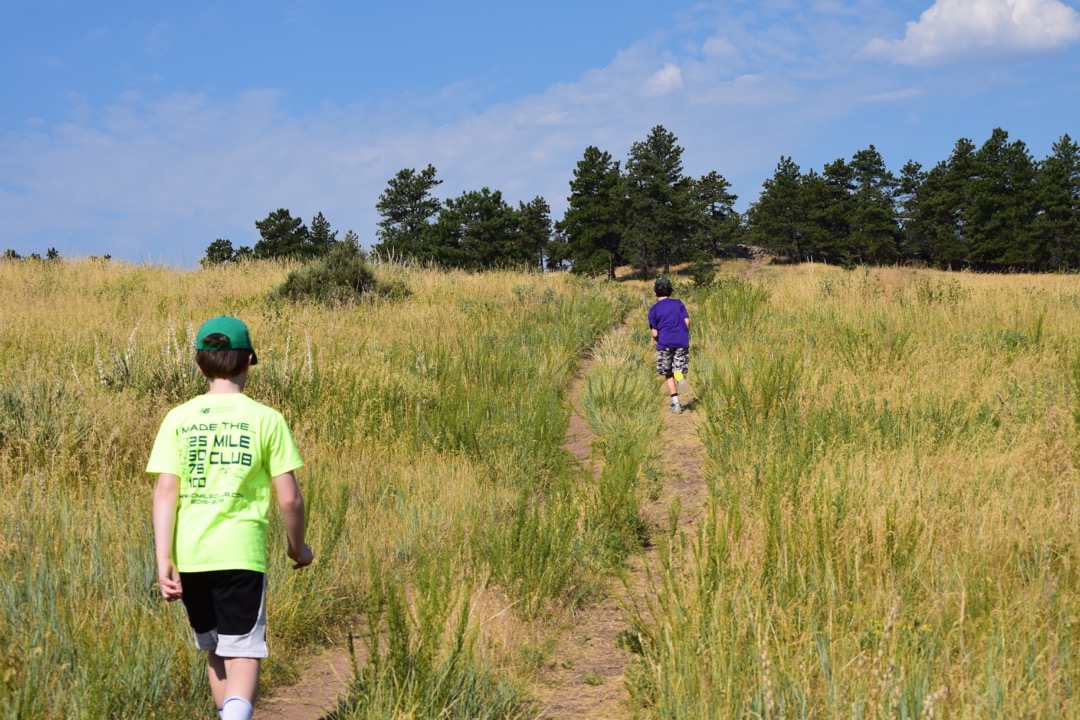 Crossing the meadow