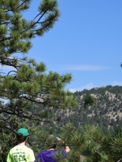 DSC_9536.JPG