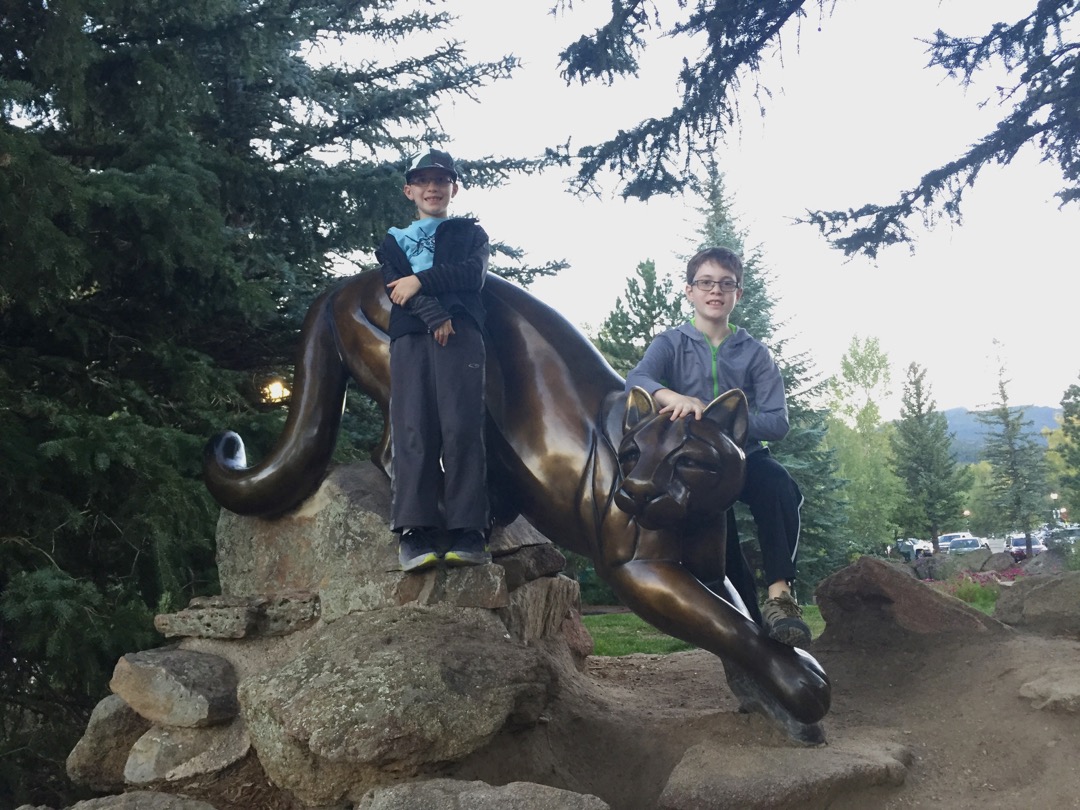 Estes Park mountain lion