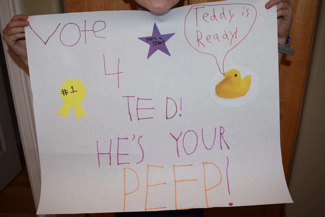 Ted was running for student council
