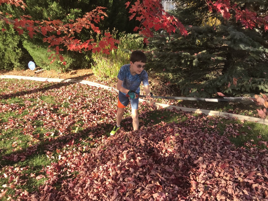 Raking helper