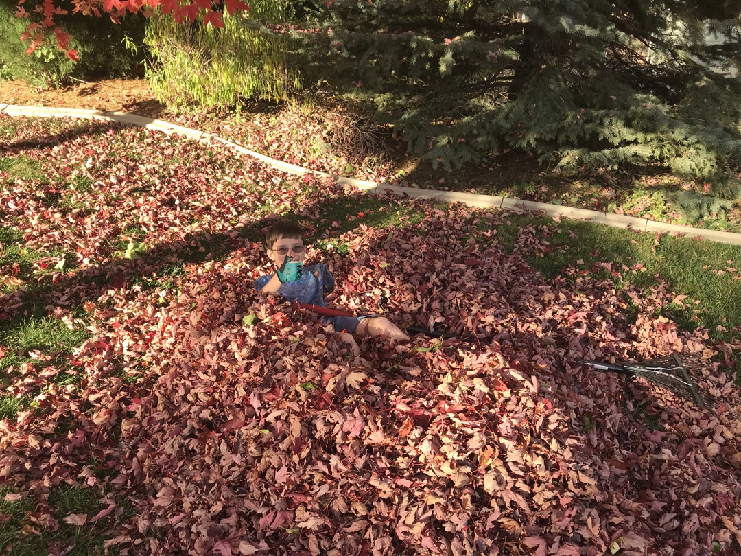 Not raking