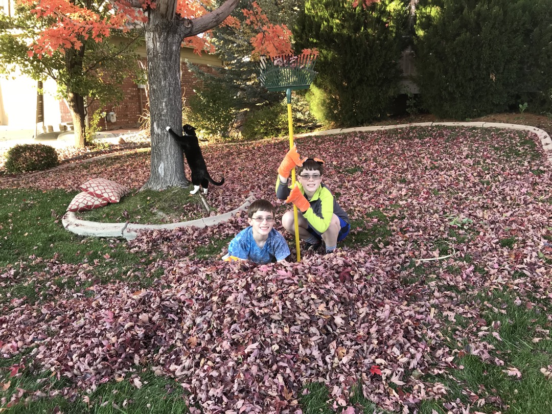 Three helpers