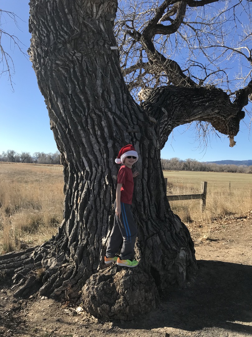 Santa hat and short sleeves