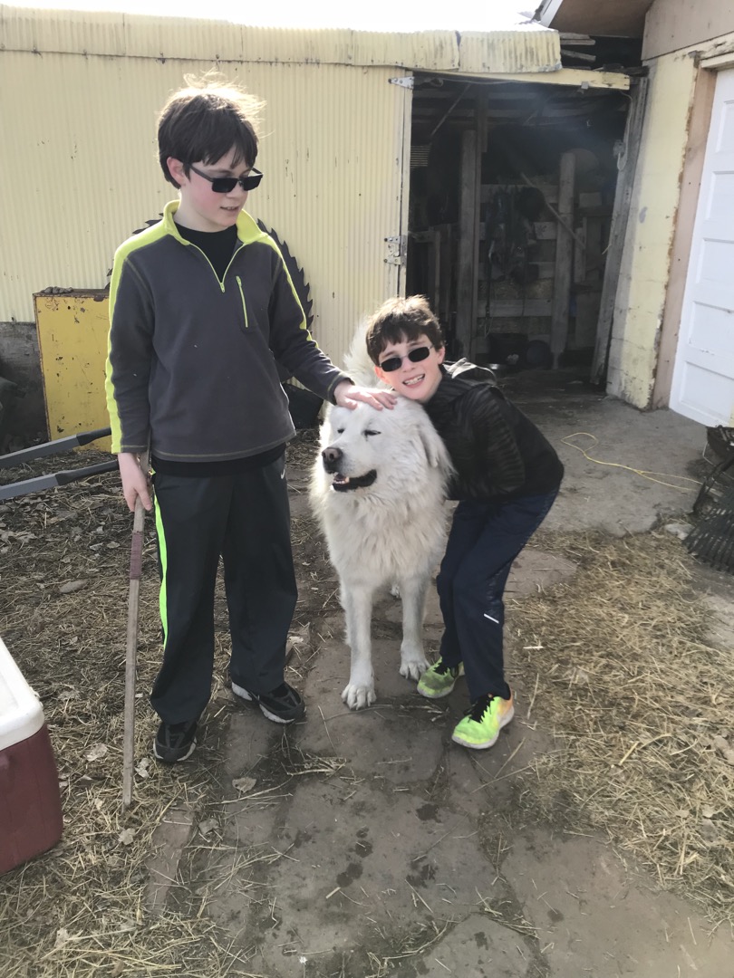 Their new pal, Odie