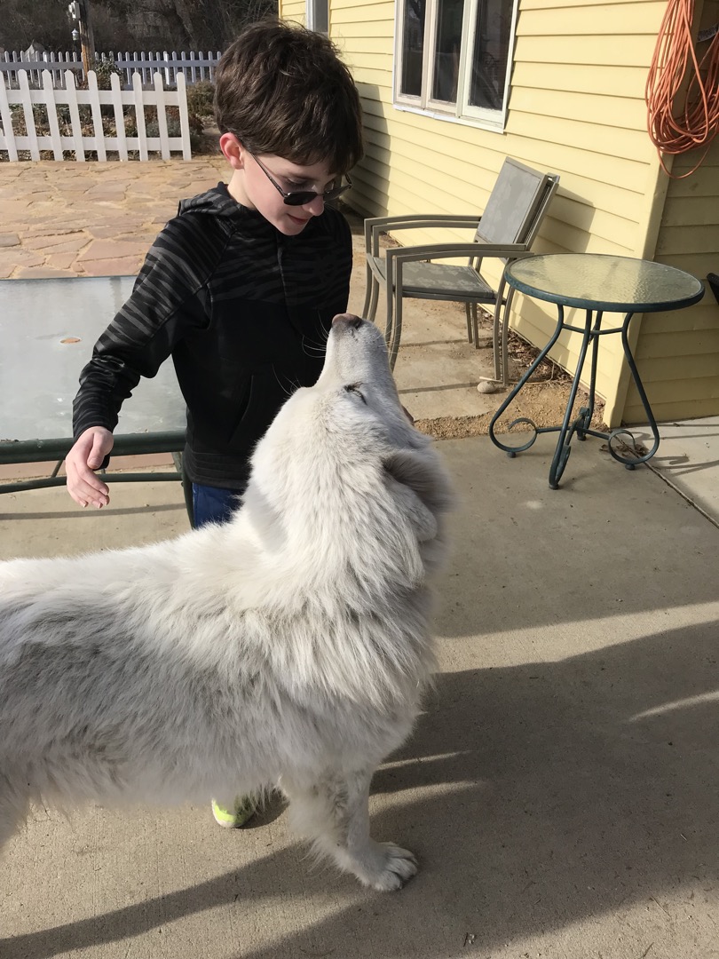 He's a good dog, Ted