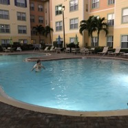 IMG_9338.JPG