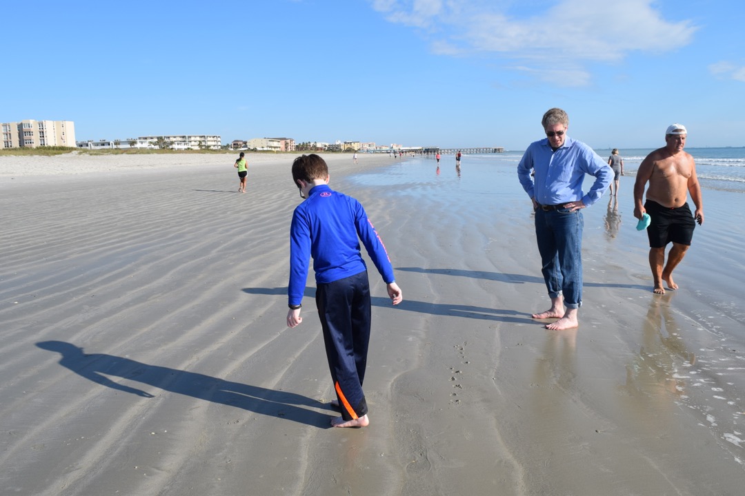 Wondering where all the seaweed is
