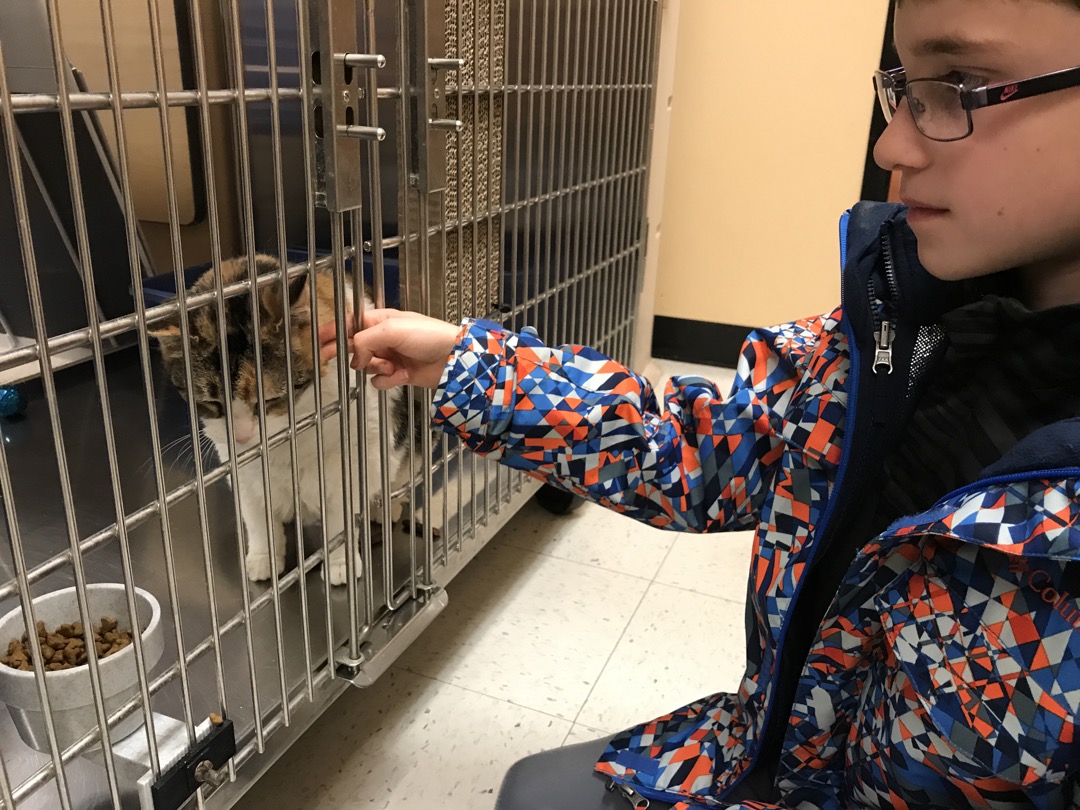 Ted pets a very purry kitty at PetSmart