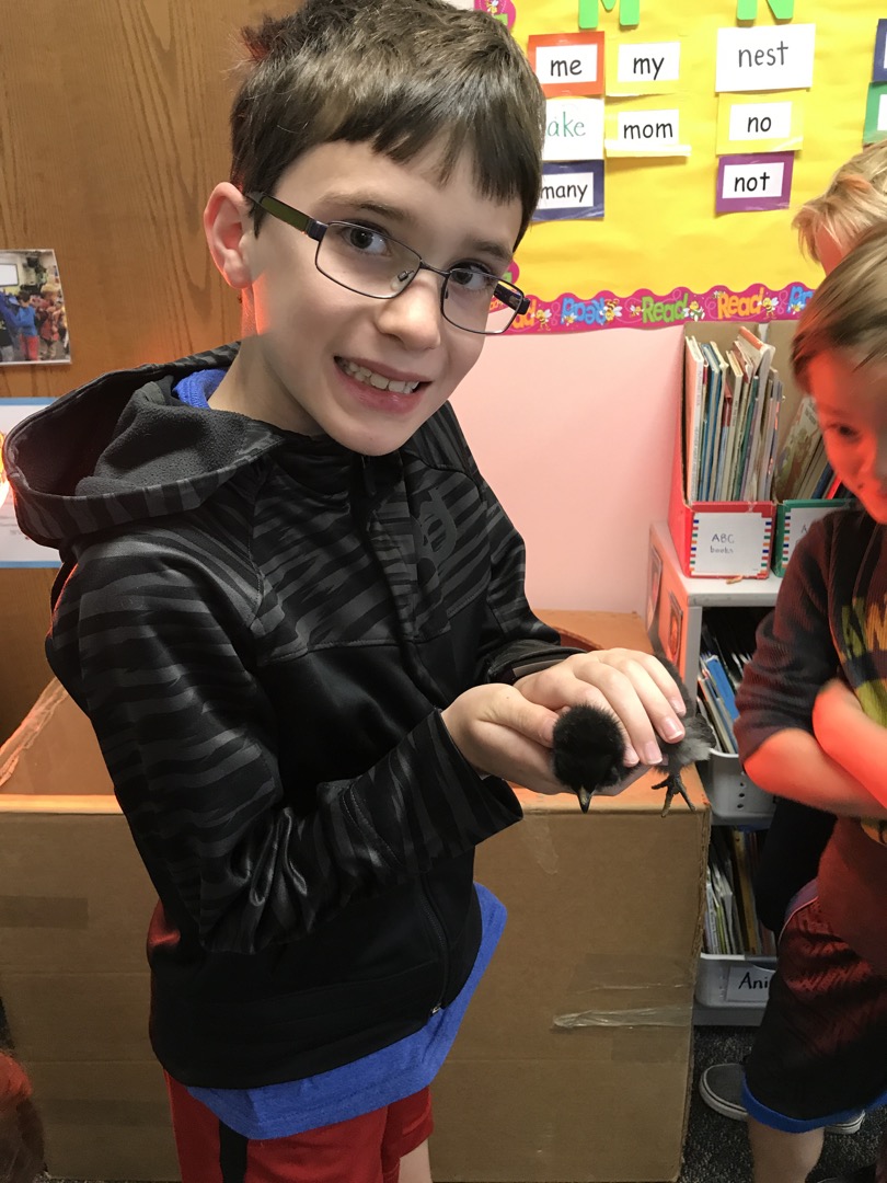 Ted holds a Kindergarten chick