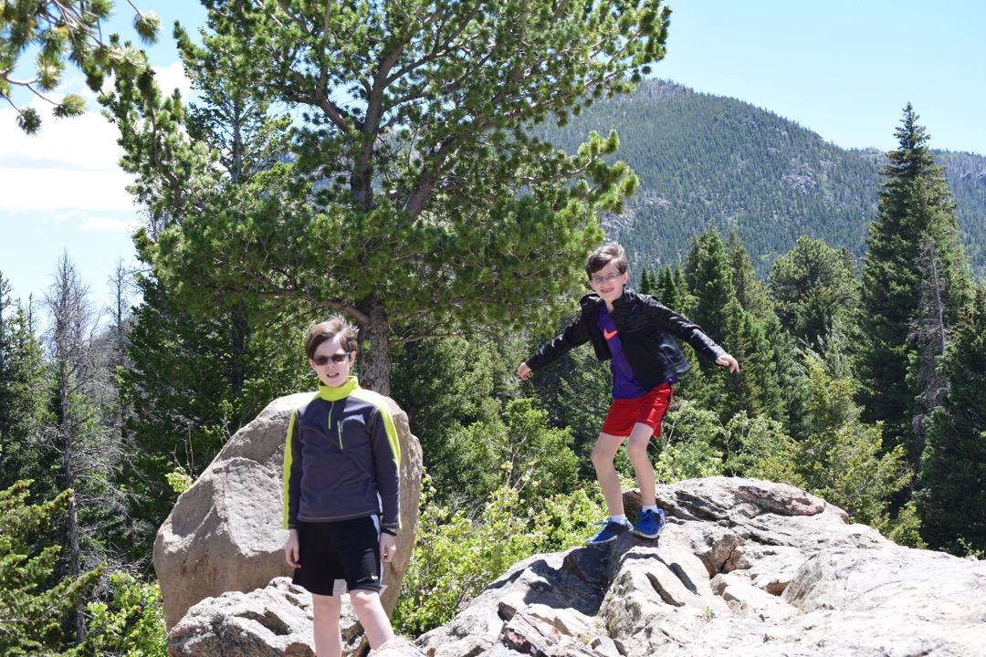 Windblown at Rocky Mountain National Park