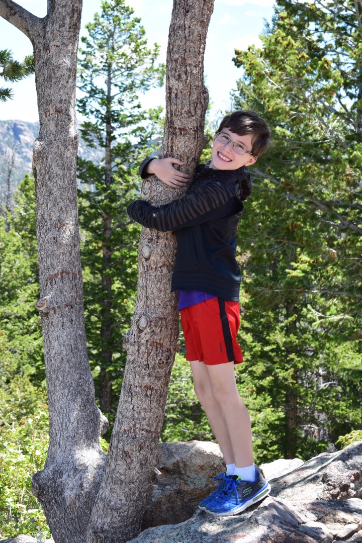 Tree hugger
