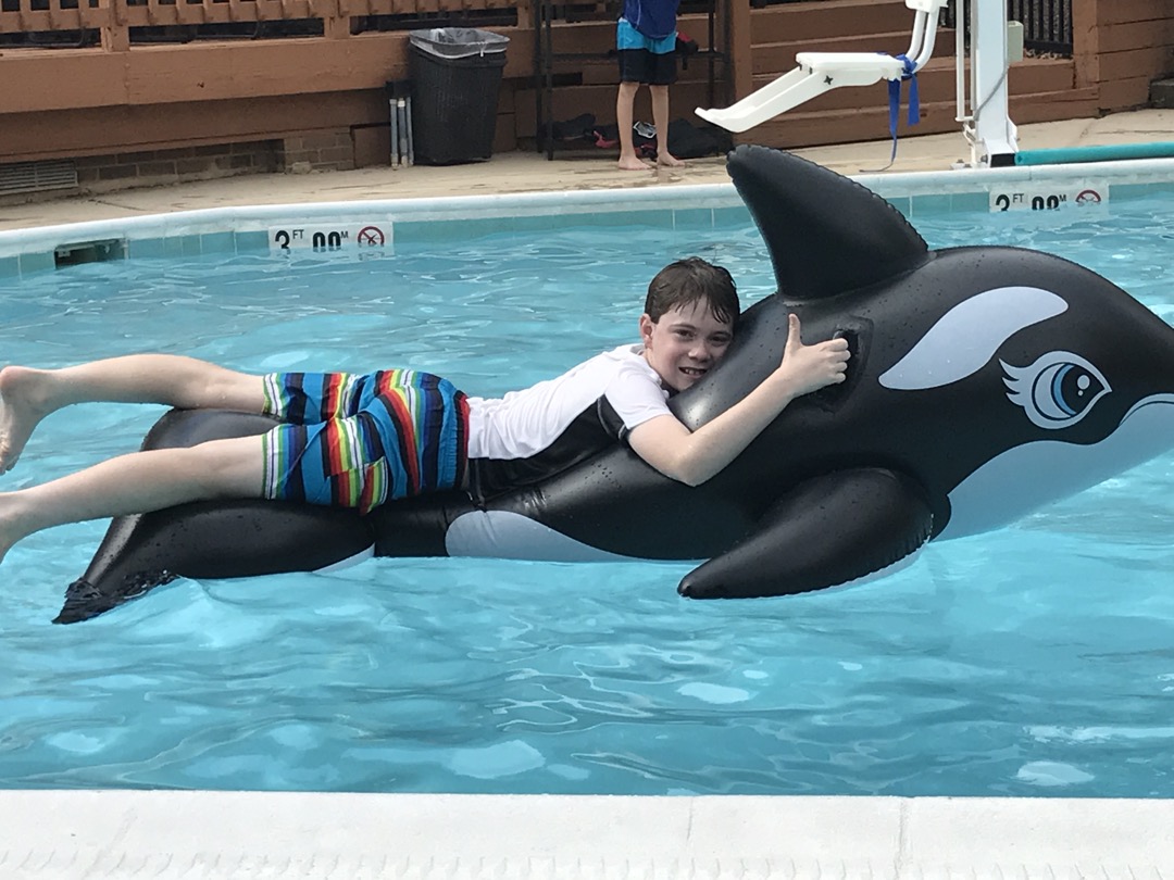 Orca friend