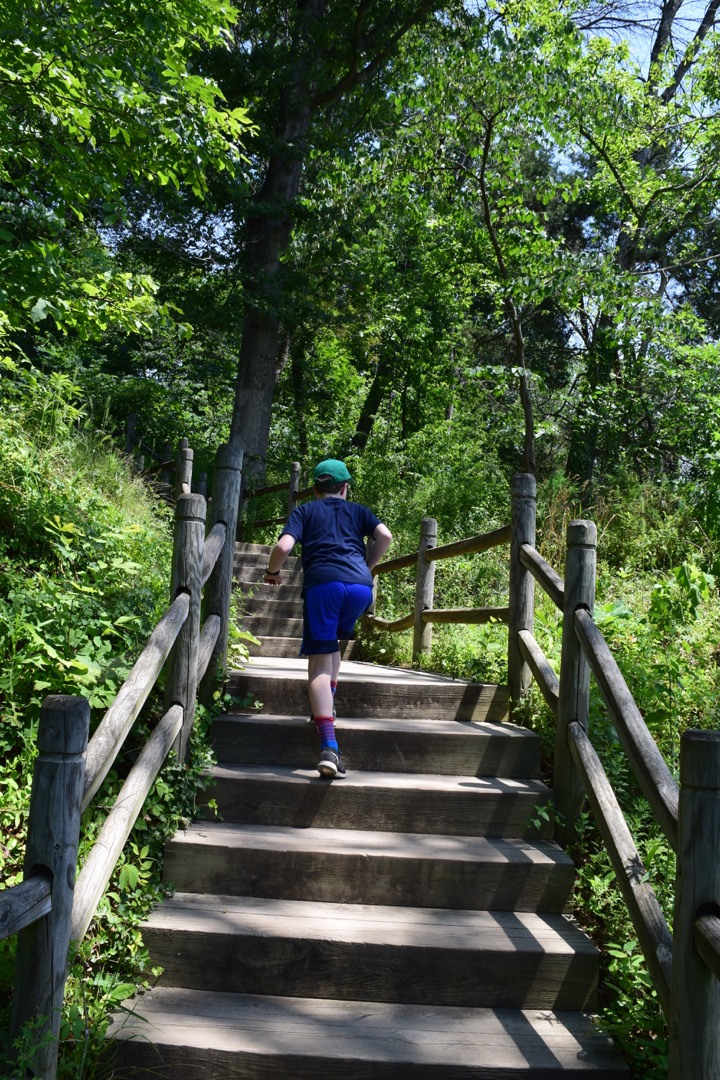 Climbing back up from Mount Vernon's wharf