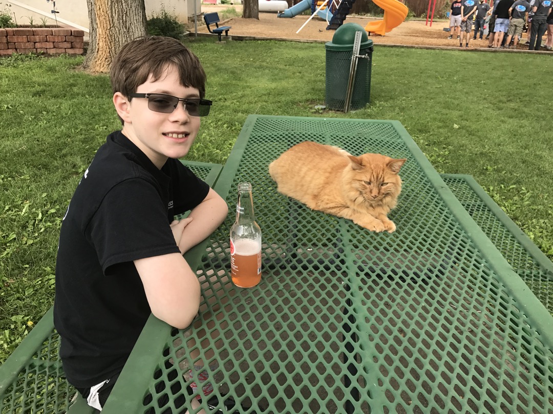 Friendly cat in Simla, CO while chasing the balloon