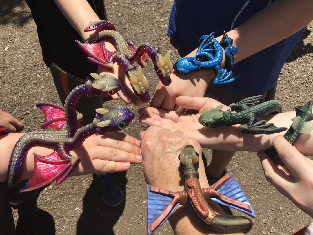 Dragons for everyone