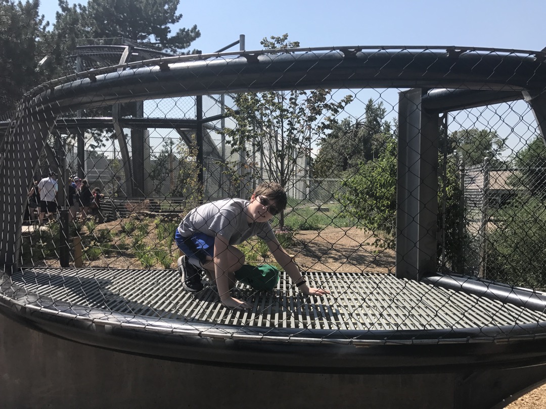 In the tiger cage