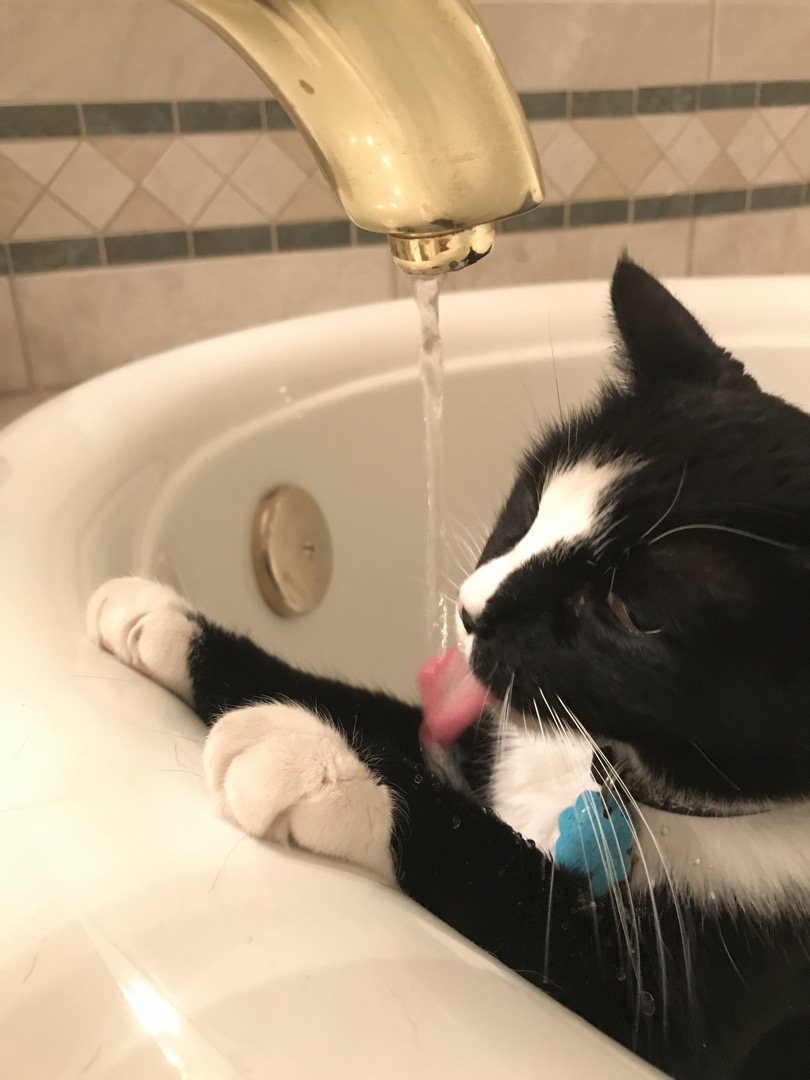 Thirsty