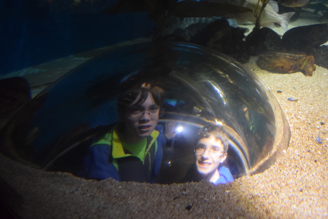 Boys in a bubble