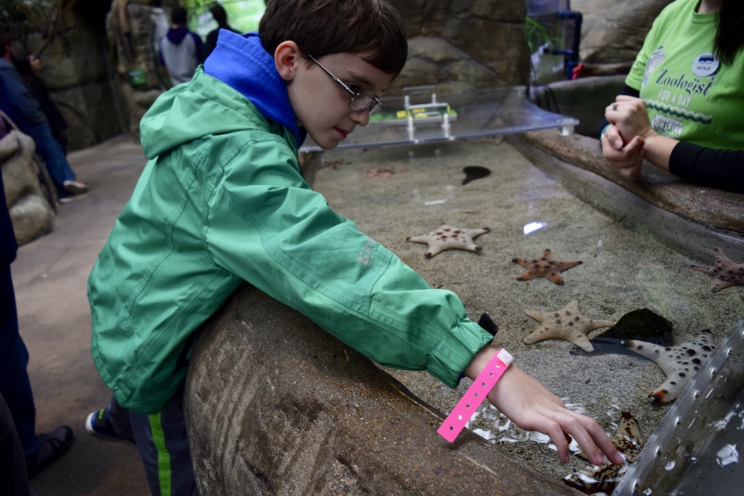 Touch tank