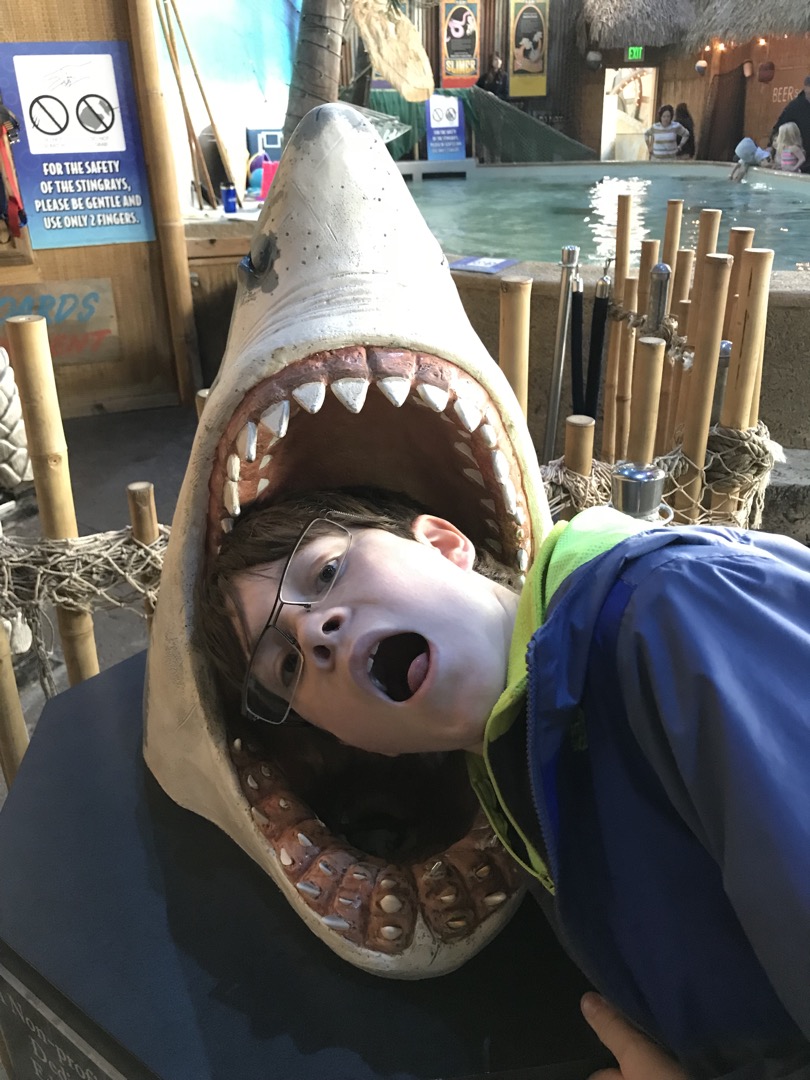 Dangerous times at the Denver Aquarium