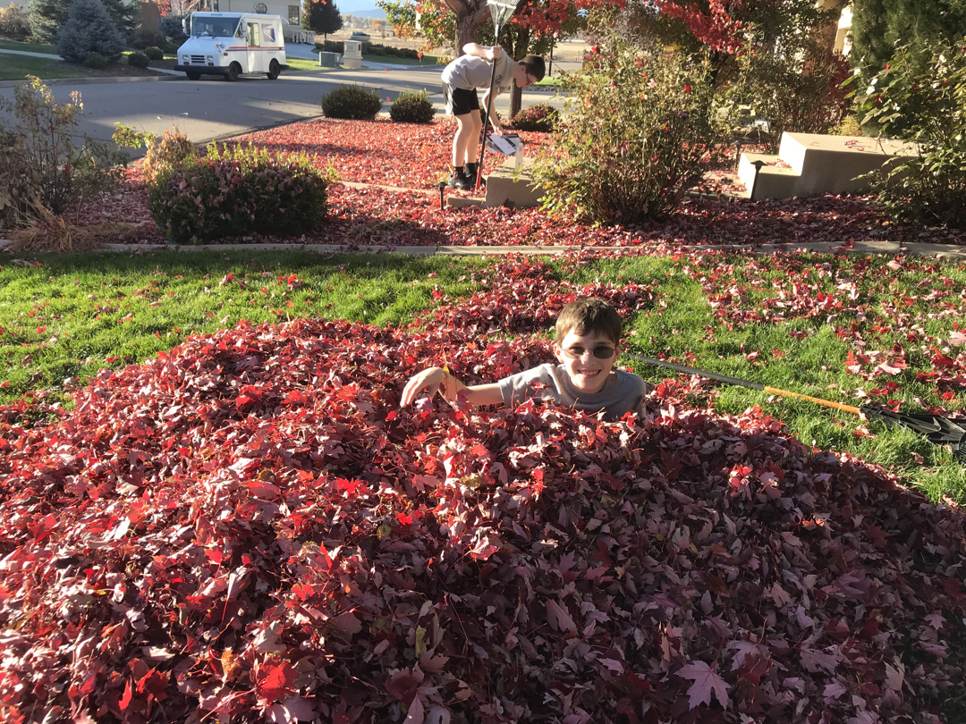 Raking?
