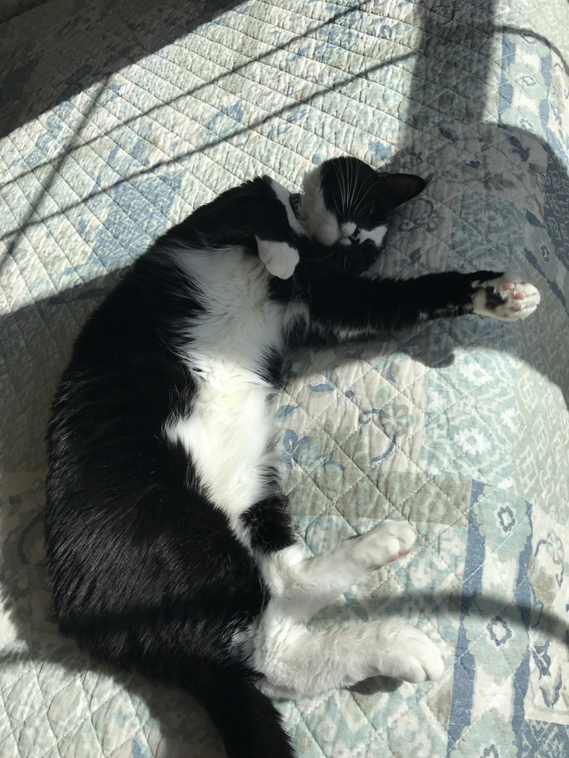 Sunbeam Henry