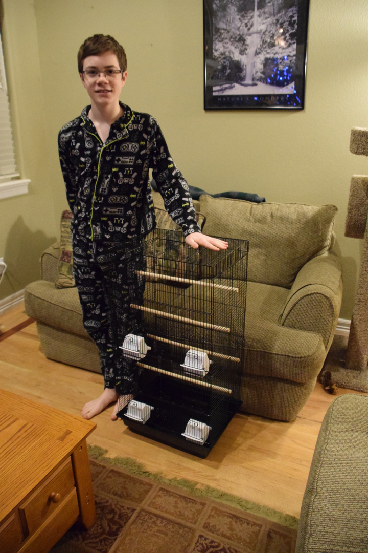 New bird cage