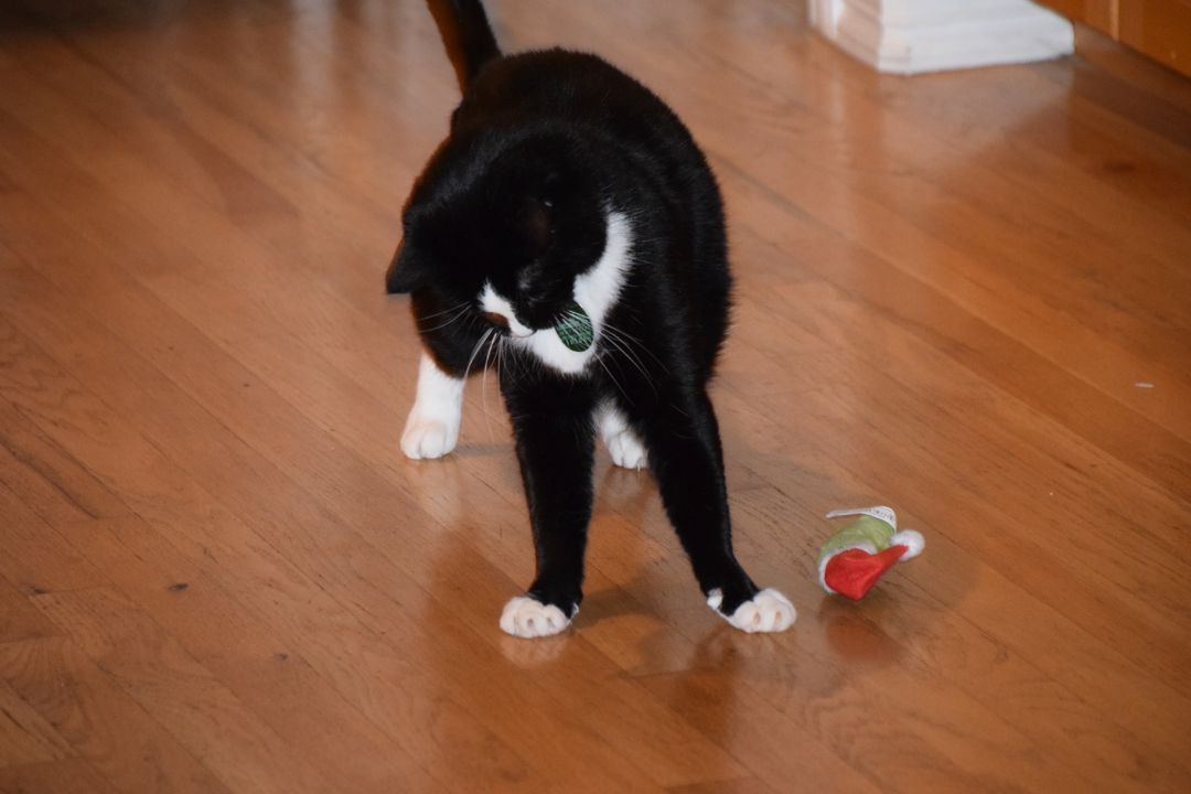 Henry likes his Santa pickle