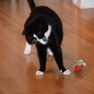 DSC_7108.JPG