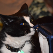 DSC_7151.JPG