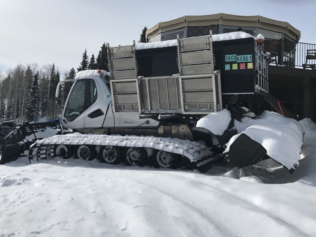 Too cold for the poor Taco Beast!
