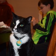 DSC_3967.JPG