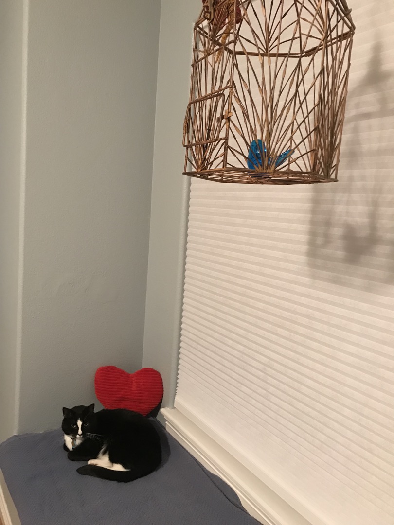 Henry is ready for Memere's arrival