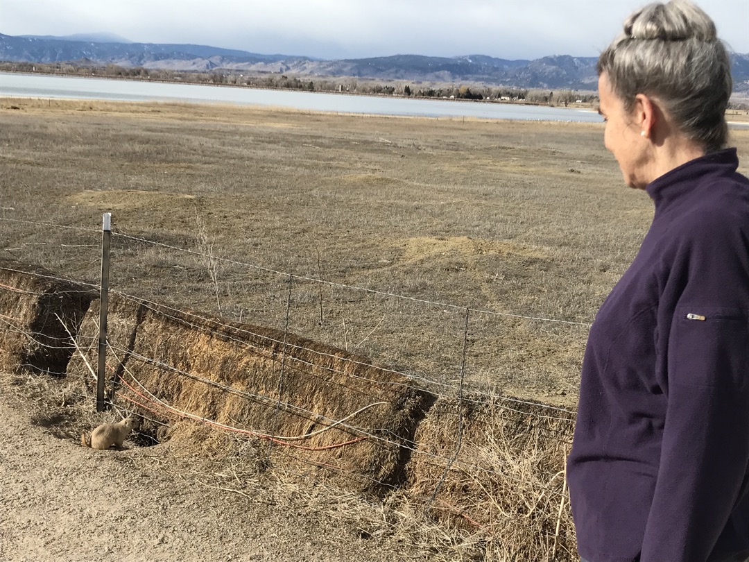 Memere's first prairie dog