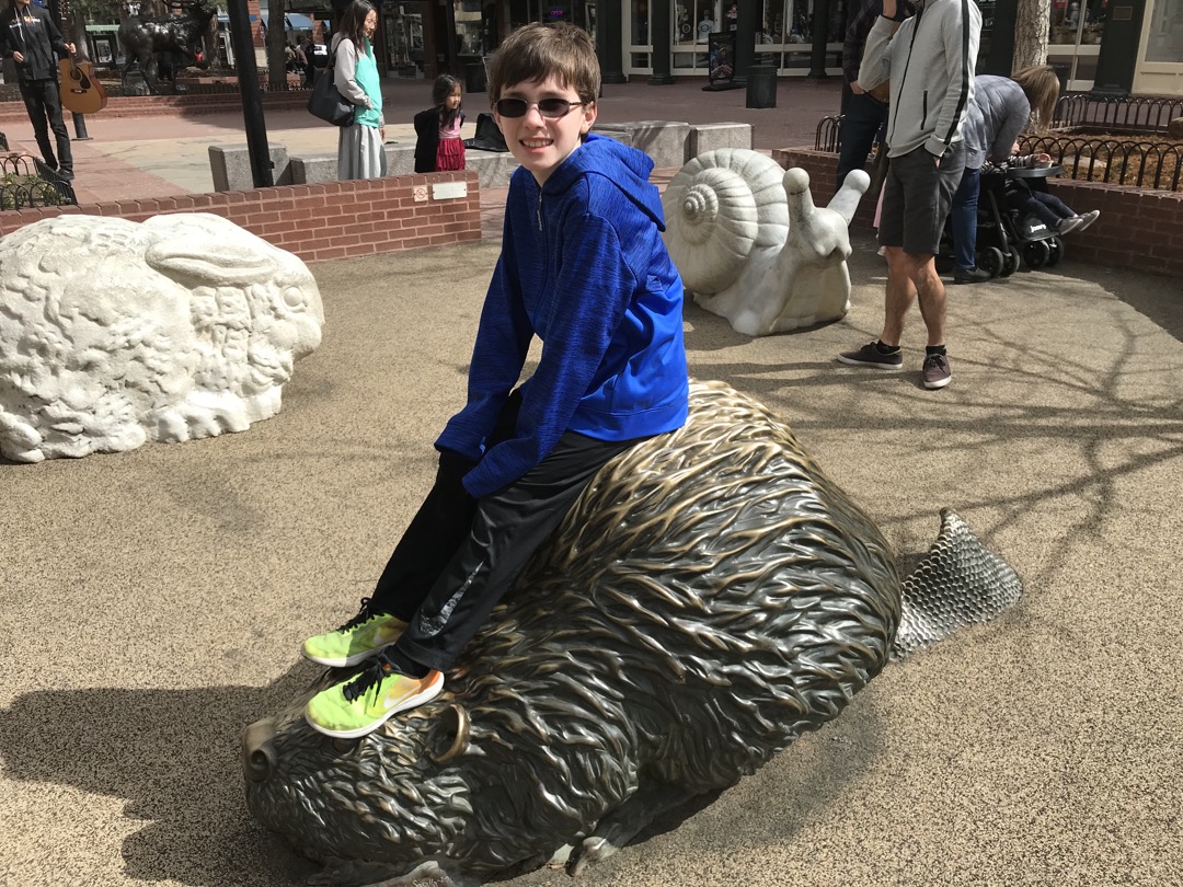 Ted overpowers the beaver on the Pearl Street Mall