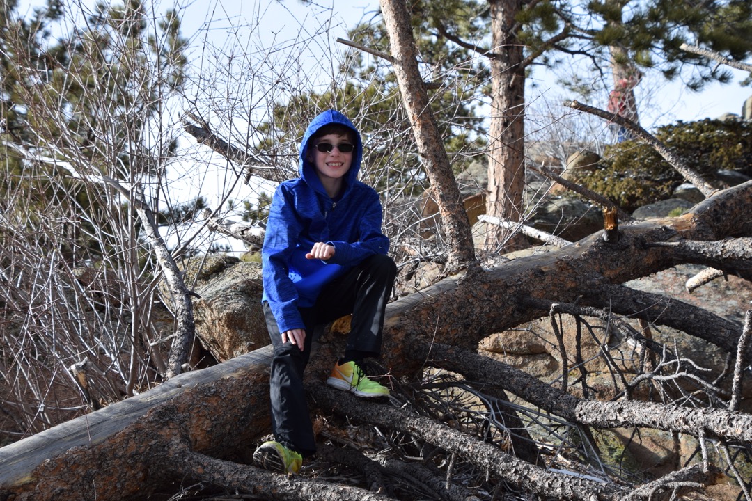 Ted in a tree