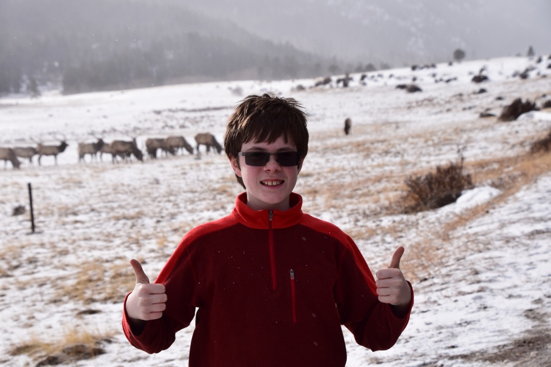 Tim and Elk in RMNP