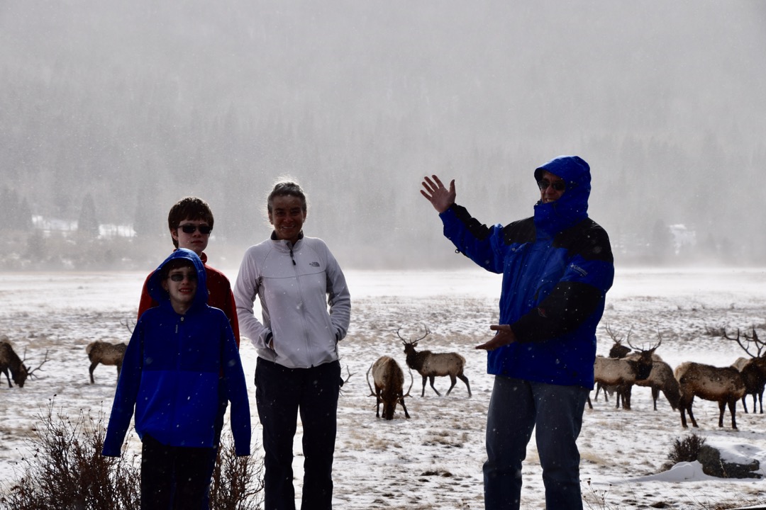 Ta da! Elk!