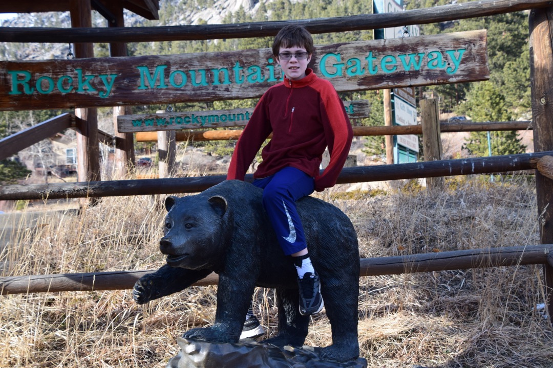 Bear wrangler